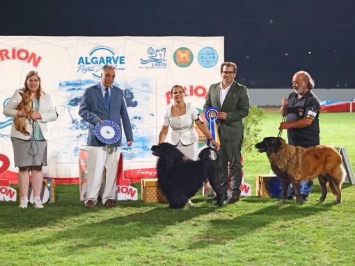 Imagem Exposições Caninas do Algarve em Lagos