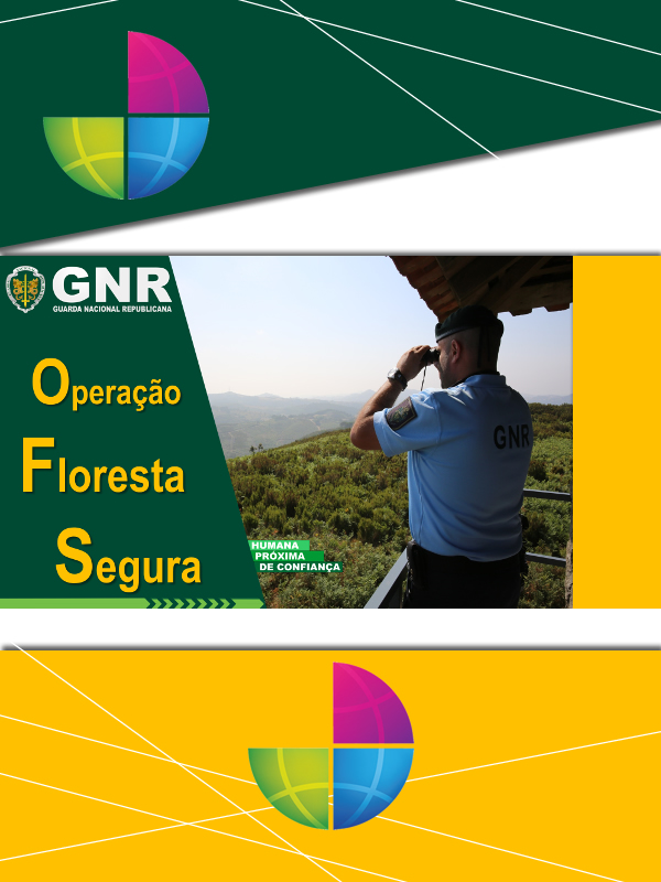 Imagem Defesa da Floresta Contra Incêndios - Manutenção das faixas de gestão de combustíveis