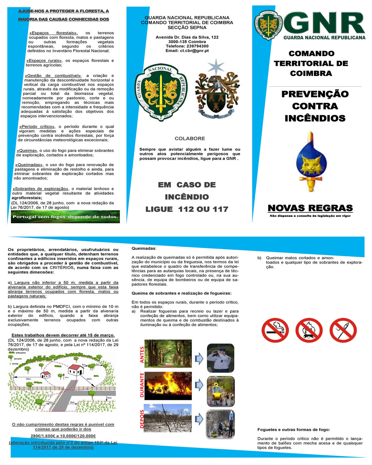 Imagem Ajude-nos a proteger a Floresta