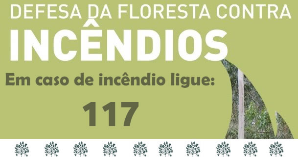 Imagem FLORESTA CONTRA INCÊNDIOS - Portaria n.º 202/2013 de 14 de junho